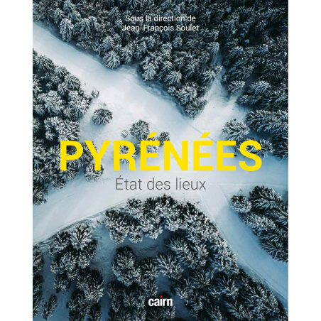 Couverture de « Pyrénées état des lieux », dirigé par Jean-François Soulet, aux éditions Cairn